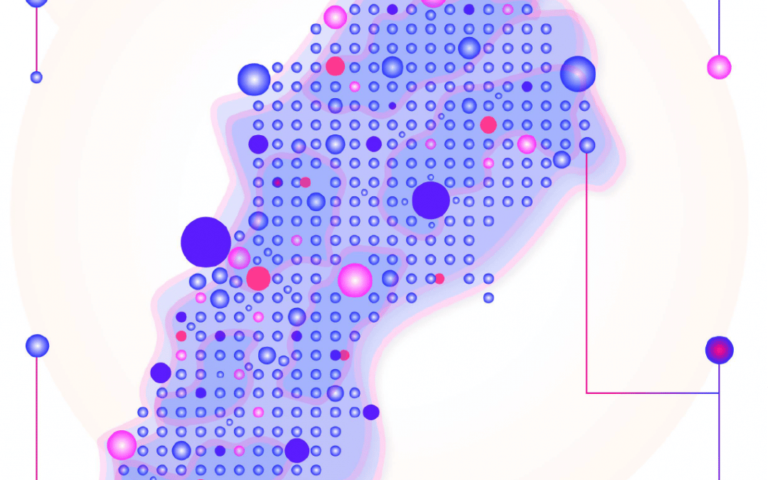 E-Government Mapping Overview of Lebanese GovTech Readiness and Respect for Citizen Privacy