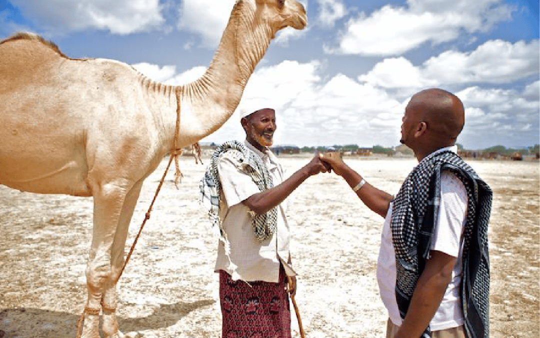 Monitoring, Evaluation, Reporting and Learning for Peacebuilding Programs